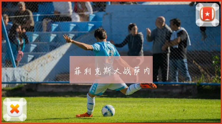 菲利克斯大战萨内