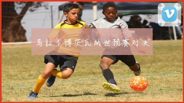 乌拉圭博茨瓦纳世预赛对决