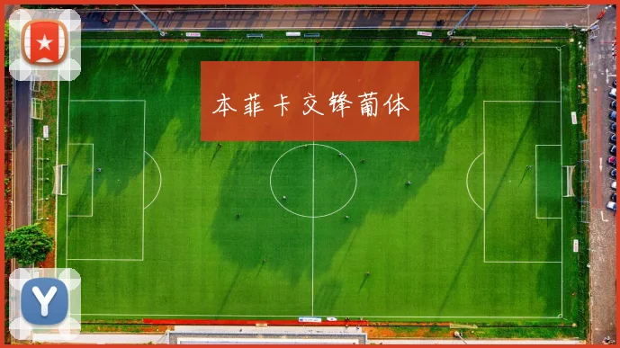本菲卡交锋葡体