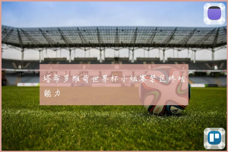 塔希罗维奇世界杯小组赛禁区终结能力