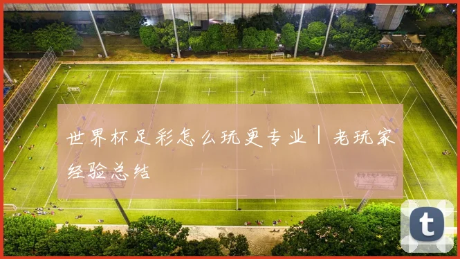 世界杯足彩怎么玩更专业｜老玩家经验总结