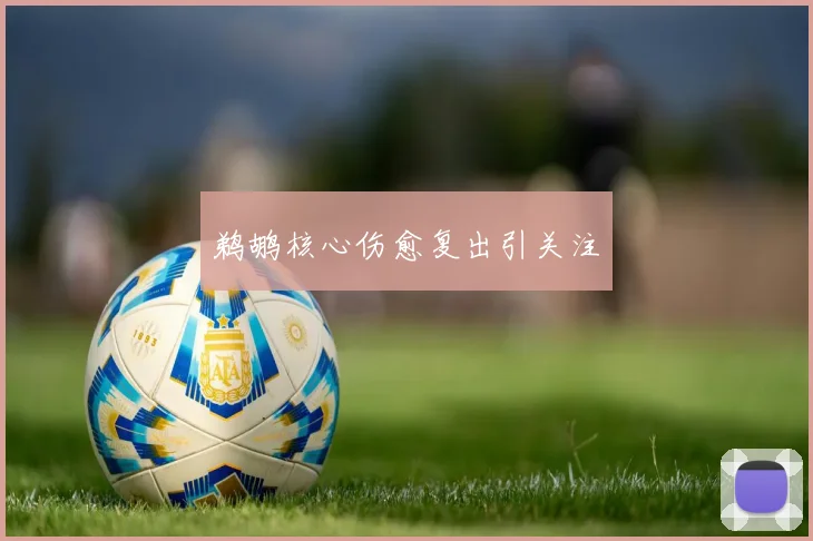 鹈鹕核心伤愈复出引关注