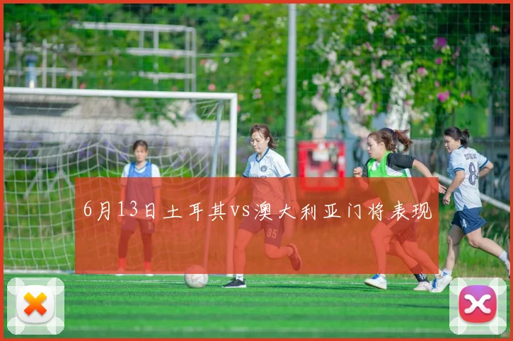 6月13日土耳其vs澳大利亚门将表现