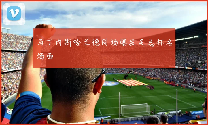 马丁内斯哈兰德同场爆发足总杯名场面