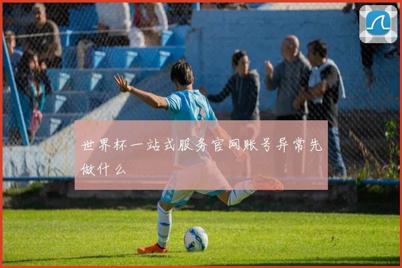 世界杯一站式服务官网账号异常先做什么
