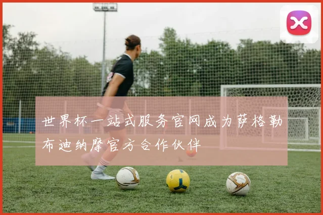 世界杯一站式服务官网成为萨格勒布迪纳摩官方合作伙伴