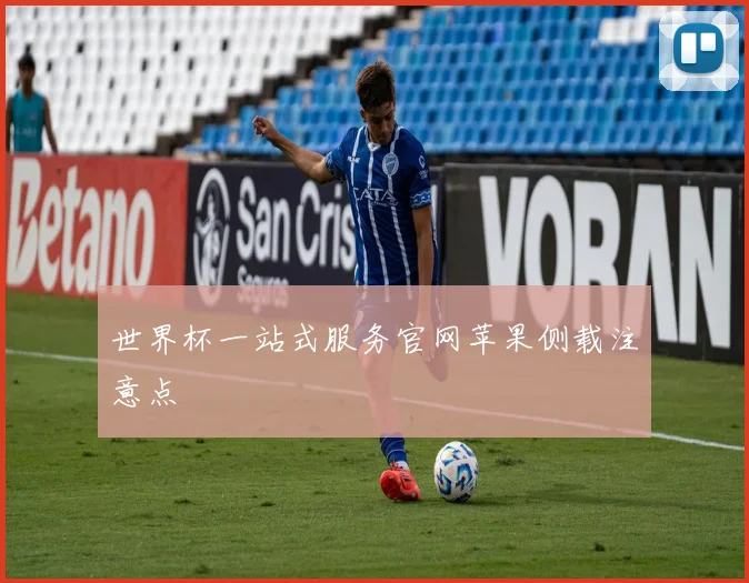 世界杯一站式服务官网苹果侧载注意点