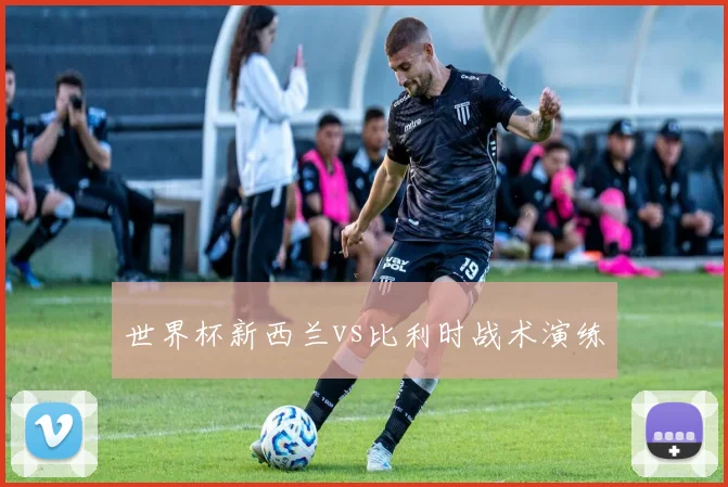 世界杯新西兰vs比利时战术演练