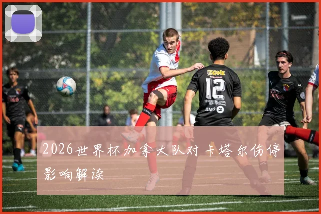 2026世界杯加拿大队对卡塔尔伤停影响解读