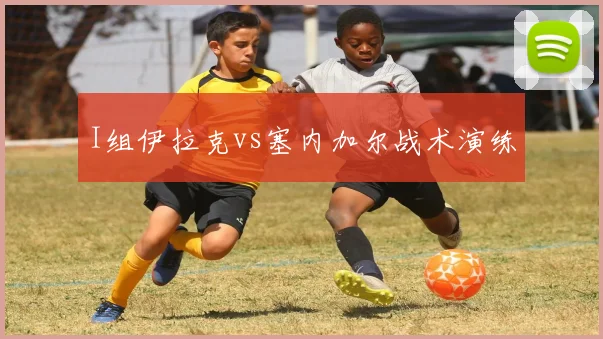 I组伊拉克vs塞内加尔战术演练
