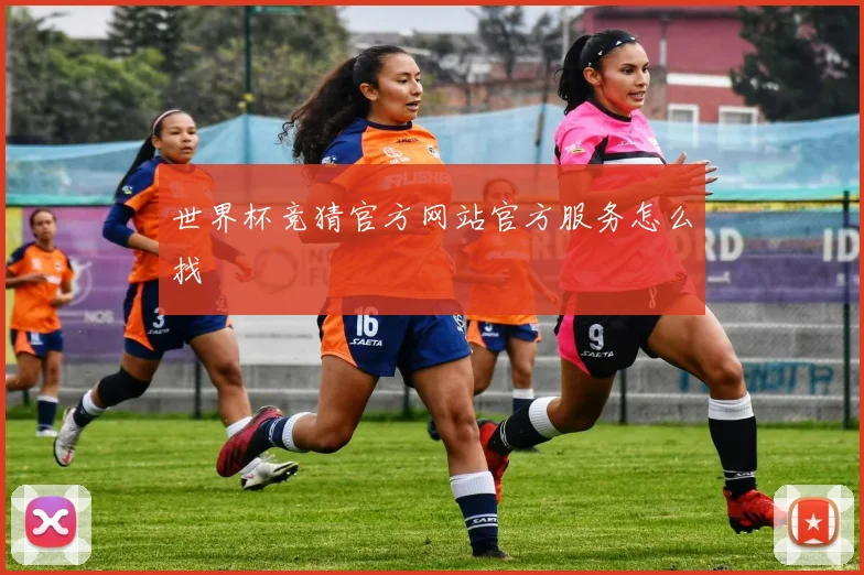 世界杯竞猜官方网站官方服务怎么找